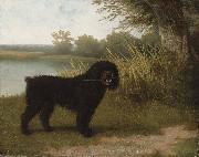 Jacques-Laurent Agasse A black water dog with a stick by a lake oil painting on canvas
